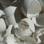 04ShellsNo223