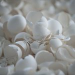 ShellsNo163