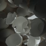 ShellsNo216